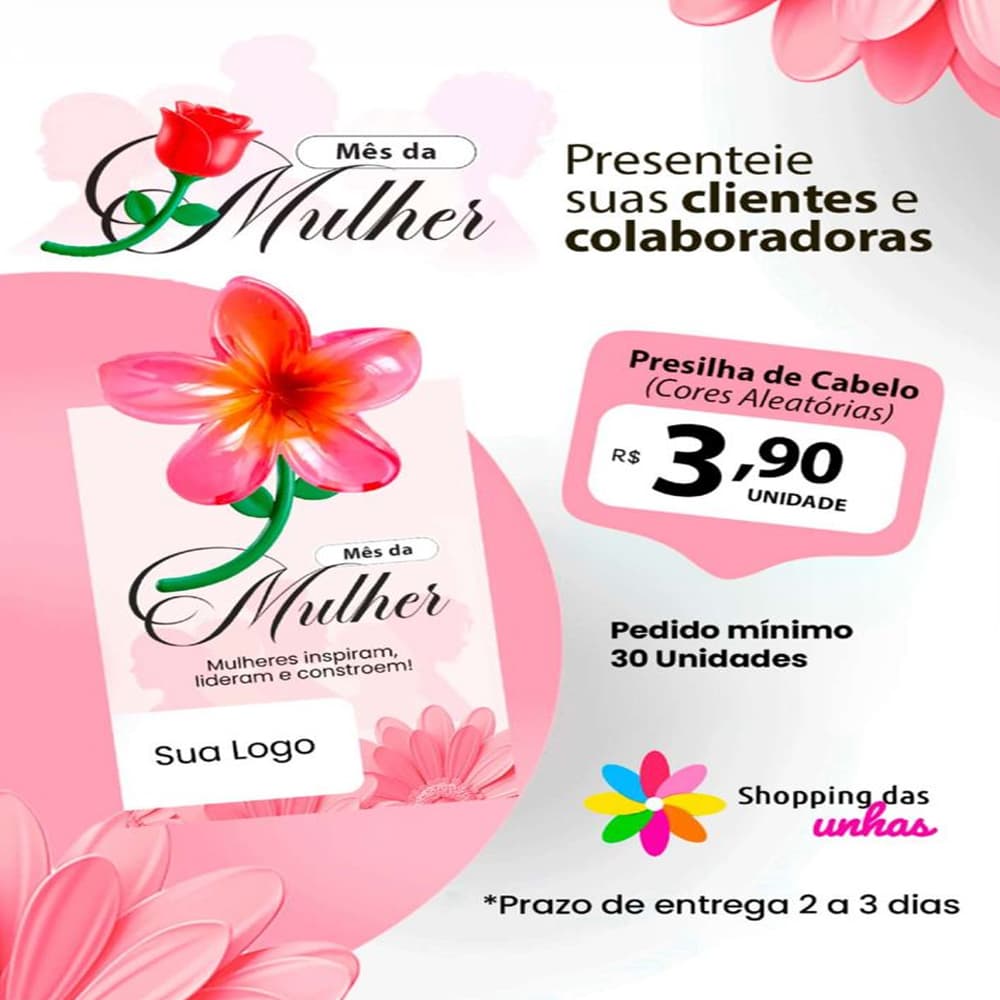 Presilha de Cabelo (Cores Aleatorias) - Mes da Mulher
